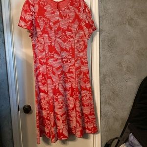 Size 14, knit dress,